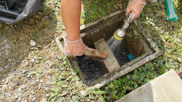 Expert Tips for Drain Cleaning in Alexandria